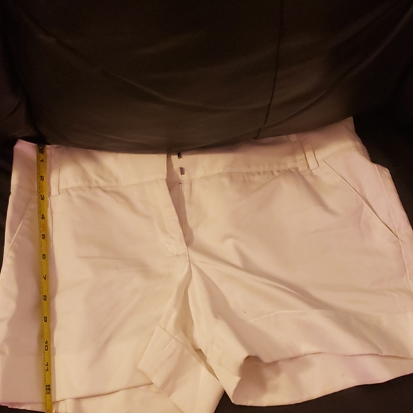 Shorts-Express - Picture 4 of 4